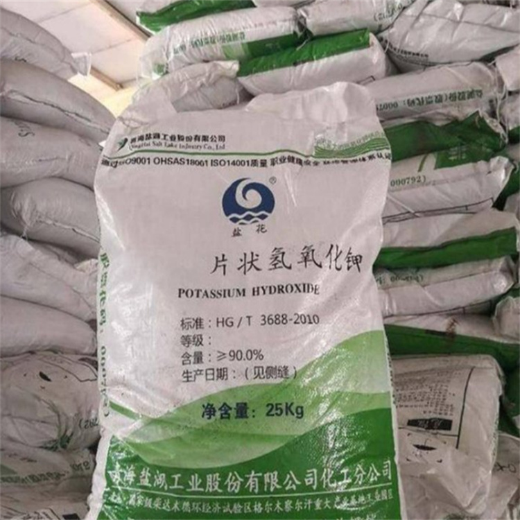 肏屄视频网站免费在线